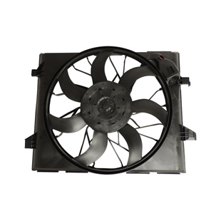 Radiator Cooling Fan Module