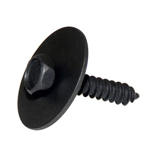 Screw & Washer